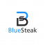 BlueSteak - eCommerce Consulting Agency logo